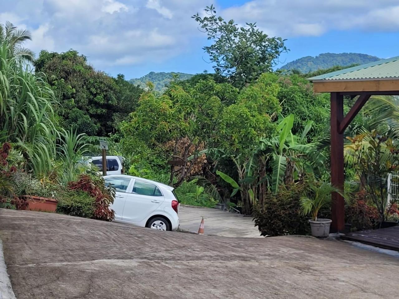 Ericka et François Lägenhet Quartier Monplaisir Exteriör bild
